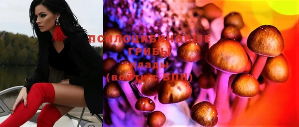 гидропоника Вяземский