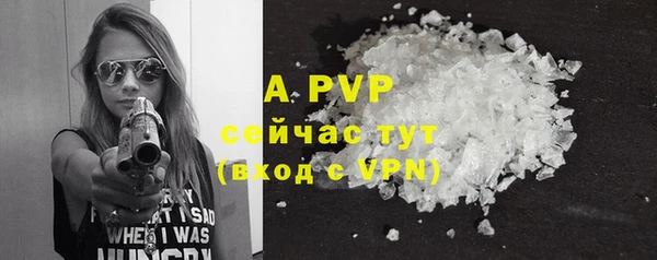 прущие грибы Вязники