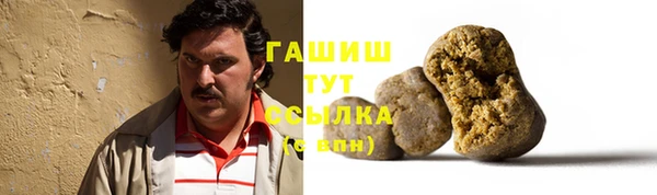 прущие грибы Вязники