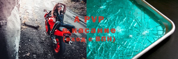 прущие грибы Вязники