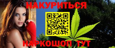 кокс Гатчина