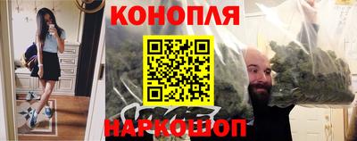 кокс Гатчина