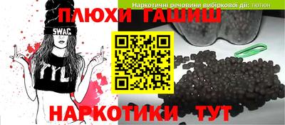 кокс Гатчина